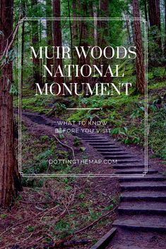 stairs leading up to the woods with text overlay that reads, mur woods national monument what to know before you visit