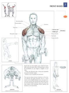 the muscles and their functions are labeled in this manual for students to learn how to use them