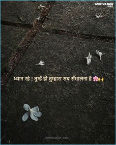 an image of some flowers on the ground with words written in english and two butterflies