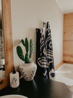 a cactus in a white vase next to a mirror and towel rack on a black counter