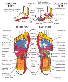 Foot Massage Techniques, Healing Touch, Sciatic Nerve