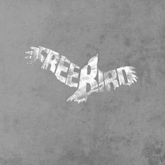 the word treebird written in white on a blue background with an image of a bird