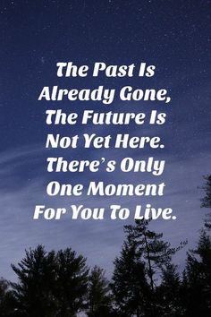 the past is already gone, the future is not yet here there's only one moment for you to live