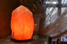 a large orange rock sitting on top of a table next to a potted plant