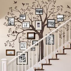 a tree with pictures on it and stairs in front of the bannister wall