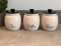 three white jars with black lids are sitting next to a potted plant on the counter