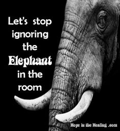 an elephant with tusks and the words, let's stop ignoring the elephant in the room