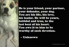 a dog sitting in front of a door with the words, he is your friend, your partner, your dog