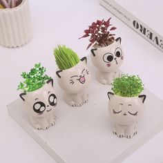 four ceramic cat planters with plants in them on a white surface next to pens and pencils