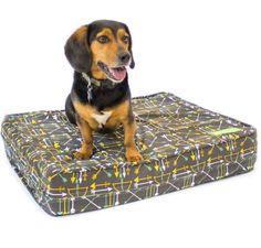 a small dog sitting on top of a mattress