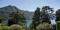 trees and bushes line the edge of a lake with mountains in the background, surrounded by greenery