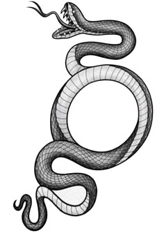 a black and white drawing of a snake