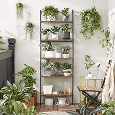 a room filled with lots of plants and potted plants on top of wooden crates