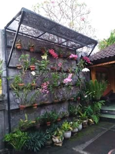 an outdoor area with many potted plants on the wall