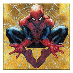 a spider man sitting on top of a web covered ground with his hands in the air