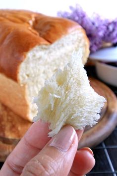 a hand holding a piece of white bread