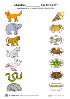 an animal and its food worksheet for children to learn how to read it