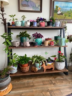 a shelf filled with lots of potted plants on top of wooden shelves next to a painting