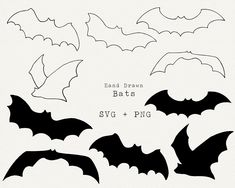 the silhouettes of bats are shown in black and white, as well as text that reads hand drawn bats svg + png