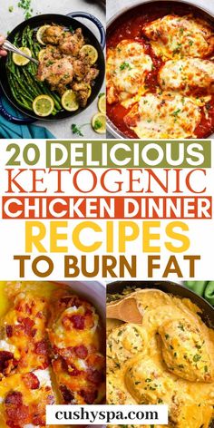 These keto chicken recipes are great for a low carb dinner. So, if you're on keto diet or have no idea how to eat keto, try these recipes. #ketodiet #ketogenicdiet #ketotips Keto Chicken Recipes, Keto Dinners, Low Carb Diets, Low Carb Diet Recipes, Diet Help, Low Carb Dinner