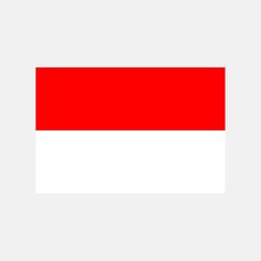 the flag of indonesia is shown in red and white