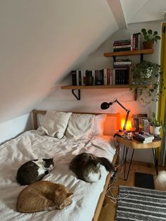 three cats laying on top of a bed in a room