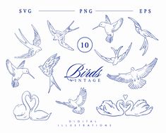 the 10 birds vintage logo is shown with swans and swans in blue ink on a white background