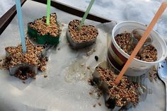 three buckets filled with bird seed sit on top of a tray in the snow