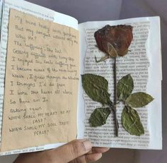 an open book with some writing on it and a flower in the middle of it