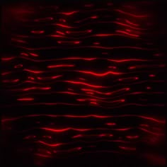 an abstract red background with wavy lines in the center and dark bottom, overlaided with black