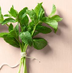 a bunch of fresh mints tied up on a pink surface with some green leaves