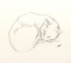 a drawing of a cat curled up sleeping