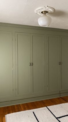 an empty room with green cupboards and white rug on the wooden floored floor