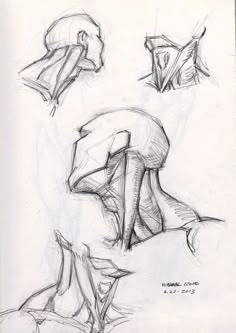 some sketches of different types of head and neck shapes, including the upper half of an animal's head