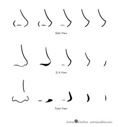 the different types of nose shapes and how they are used to make them look like noses