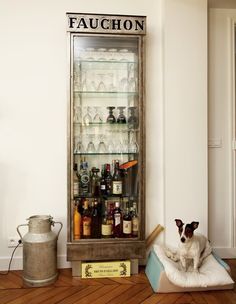 a dog sitting on top of a cushion in front of a cabinet filled with liquor bottles