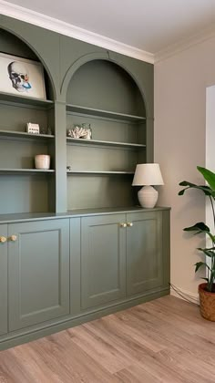 a living room with green bookcases and a potted plant