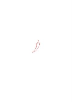 a red chili pepper on a white background