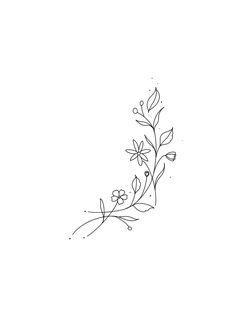 a line drawing of flowers on a white background