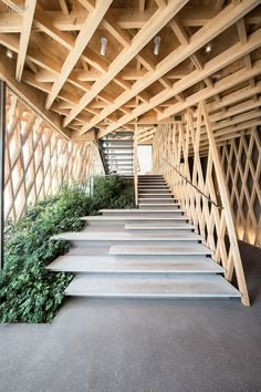 the stairs are lined with wood slats