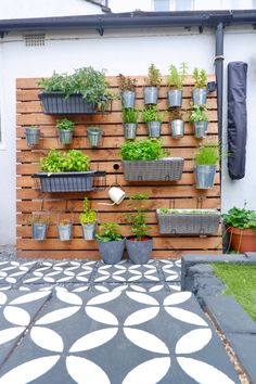 an outdoor garden with potted plants on the wall