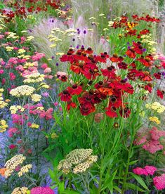 many different colored flowers in a garden