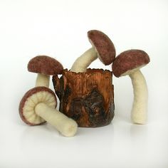 two mushrooms sitting next to each other on top of a tree stump in front of a white background