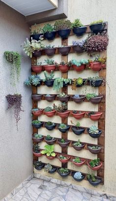 a wall mounted planter filled with lots of succulents and other plants