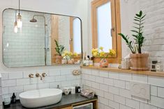 a bathroom with a sink, mirror and plants on the counter top in front of it