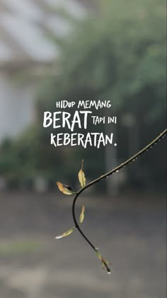 a tree branch with some leaves on it and the words, help memaging berat tapi in keberatan