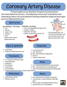 Nursing School Notes Medsurg Cardiac Acute Coronary Disease - Etsy Coronary Arteries Disease Nursing, Coronary Arteries Disease, Paramedic Notes, Medic School, Pharmacy Study, Pathophysiology Nursing, Nursing School Studying Cheat Sheets, Cardiac Cycle, Coronary Artery