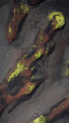 some green and brown rocks in the sand