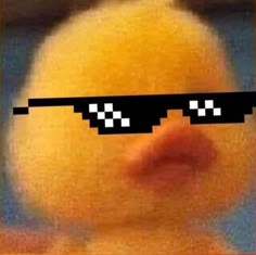 It's a duck, well yk its a BADDIE PFP! Playing Games, Fun Games, Group Chat, Building, Funny