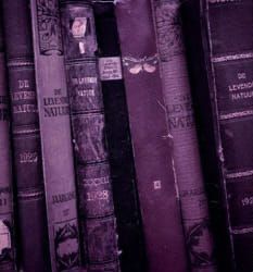 old books are lined up in rows on the shelf, and one has a butterfly on it